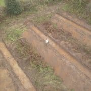 Archaeological Assessment and Test Excavation